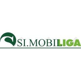 Modern Logo