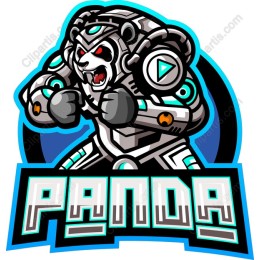 Panda Warrior