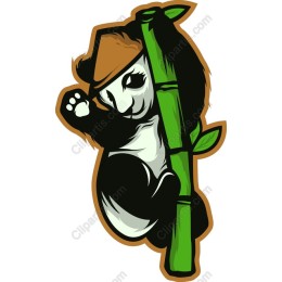 Cute Bamboo Panda