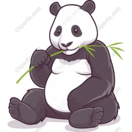 Charming Panda Eating Bamboo