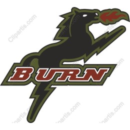 Dynamic Black Horse with Flames