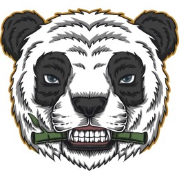 Panda Warrior