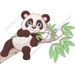 Adorable Panda