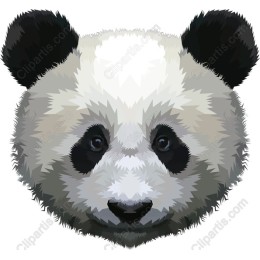 Charming Panda