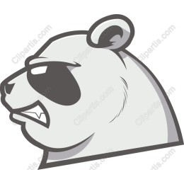 Cool Panda