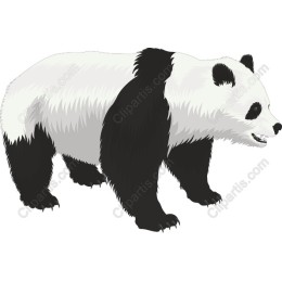 Charming Panda