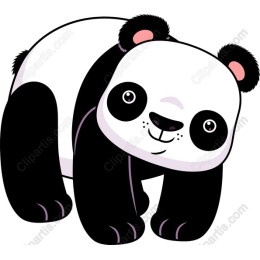 Cute Panda