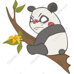 Grumpy Panda on a Branch