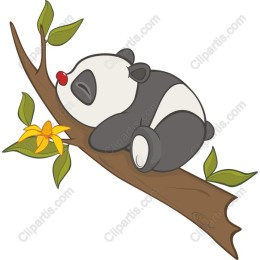 Sleeping Panda on a Branch