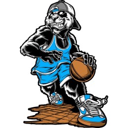 Cool Panda Basketball