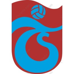 Dynamic Volleyball