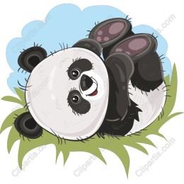 Playful Panda