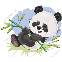 Cute Panda