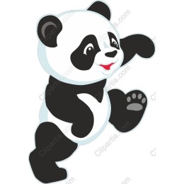 Playful Panda Cub