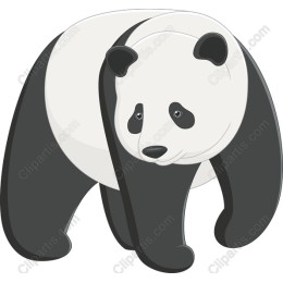 Cute Panda