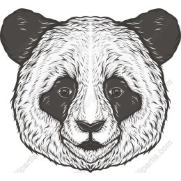 Adorable Panda