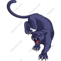 Fierce Panther