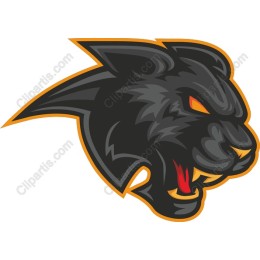 Fierce Panther Head