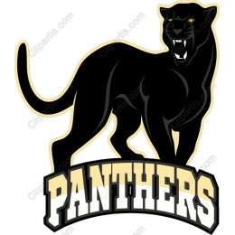 Fierce Panther