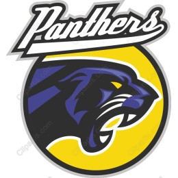 Panthers work
