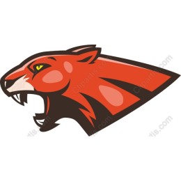 Roaring Tiger