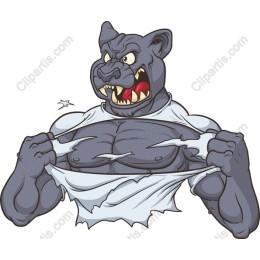 Muscular Panther