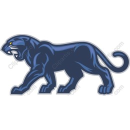 Fierce Panther