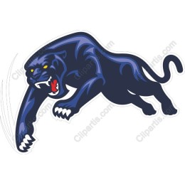 Dynamic Black Panther