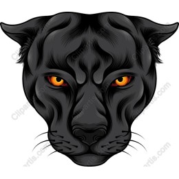 Fierce Black Panther