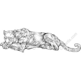 Majestic Feline Line Art