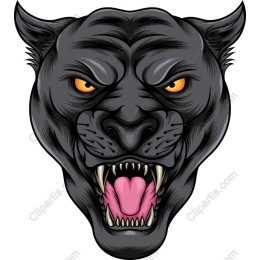 Fierce Panther Head