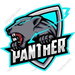 Fierce Panther