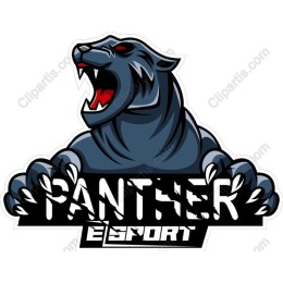 Panther Esports