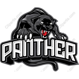 Fierce Panther
