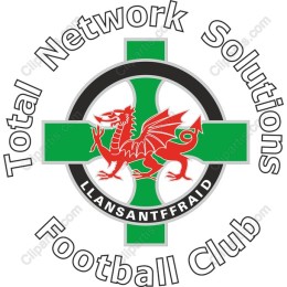 Total Network Solutions Football Club Logo