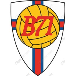 B71 Volleyball Logo