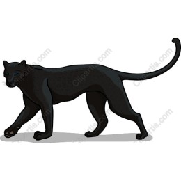 Elegant Black Panther