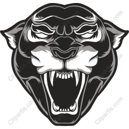 Fierce Black Panther