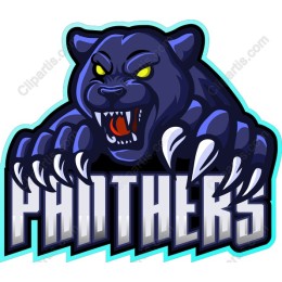 Fierce Panther