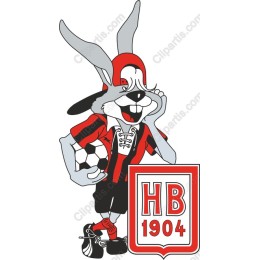 Cheerful Rabbit Soccer