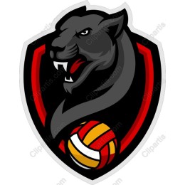 Fierce Black Panther Sports Emblem