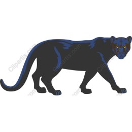 Black Panther