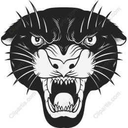 Fierce Black Panther