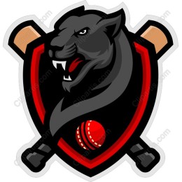 Fierce Panther Cricket Logo