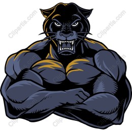 Muscular Panther