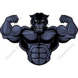 Muscular Panther