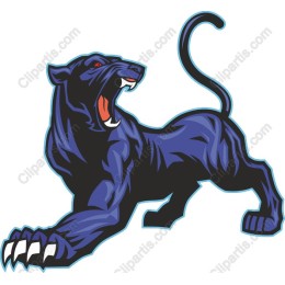 Fierce Black Panther