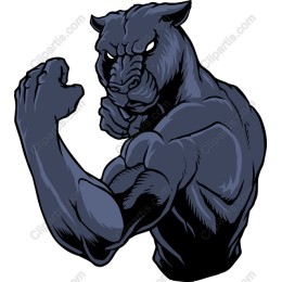 Fierce Panther