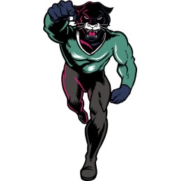 Dynamic Panther Hero