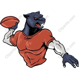 Panther Quarterback